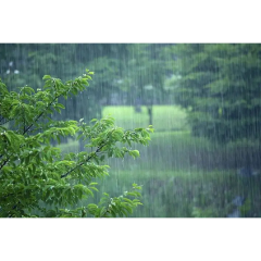 周日起常德迎来强降雨“退烧”