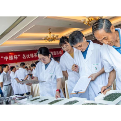 石门绿茶在第十一届“中绿杯”名优绿茶质量评选中喜获大奖