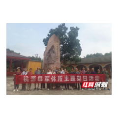 桃源县军休所庆祝中国共产党成立101周年主题党日活动