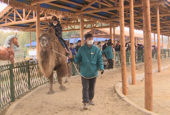 这个春节多了一种“年味”：5万余人打卡常德同发野生动物世界