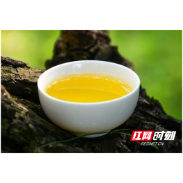 常德又添新“名片”：“常德茶油”获批国家地理标志保护产品