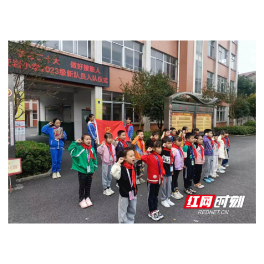 桃源县红岩小学举行新队员入队仪式