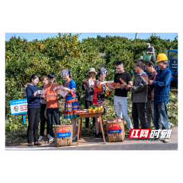 石门消防：宣传服务进橘园，护航柑橘采摘节