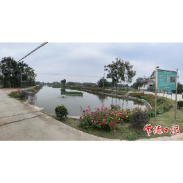 82条黑臭水体实现清零 常德市全国农村黑臭水体治理试点项目全部完工
