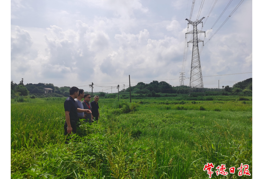 常德市委提级交叉巡察解决群众急难愁盼