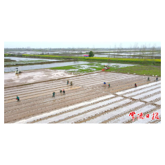 气温一路“狂飙”，常德13至14日有一次中雨过程