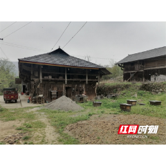 大山深处养蜂人 一一记石门县壶瓶山镇龙池河村村民杨云辉