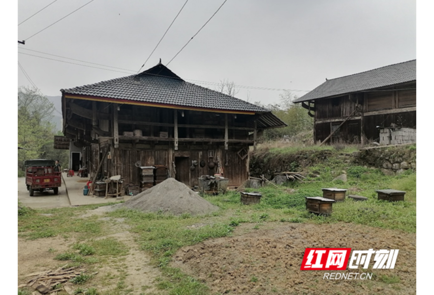 大山深处养蜂人 一一记石门县壶瓶山镇龙池河村村民杨云辉