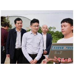 曹志强在临澧县督导调研安全生产、生态环保等工作