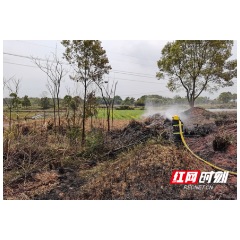 常德：两天发生七处火情火警  莫让烟火扰“清明”