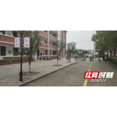 武陵区芦荻山乡人民政府在辖区中心小学进行防灾减灾宣传活动