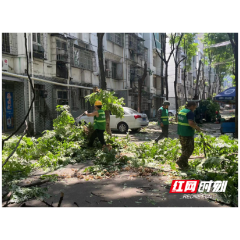 新时代文明实践耀武陵|丹阳街道紫桥社区开展“美化社区，绿化修剪”活动