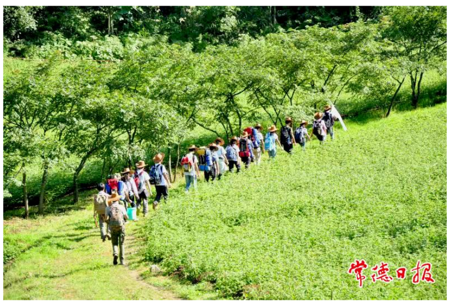 壶瓶山成为国家级“生态教育基地”