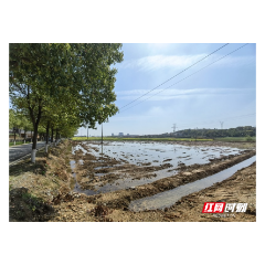 鼎城灌溪：抢抓春耕黄金期 让良田回归粮田