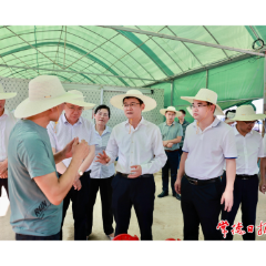 曹志强在汉寿县调研时强调：扛稳粮食安全重任 守住耕地保护红线