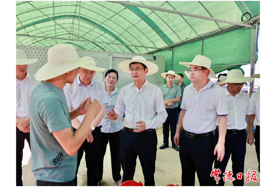 曹志强在汉寿县调研时强调：扛稳粮食安全重任 守住耕地保护红线