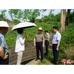 常德市领导督导沅江入河排污口管控工作