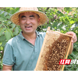 美丽常德 乡建有我丨湖南石门养蜂大户覃仕永：与蜂共舞 酿造“甜蜜生活”