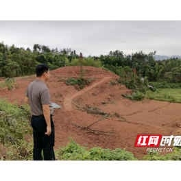 常德桃源：想方设法，守好子孙田