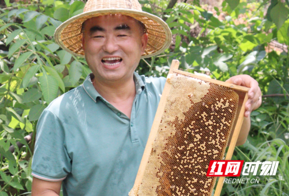 美丽常德 乡建有我丨湖南石门养蜂大户覃仕永：与蜂共舞 酿造“甜蜜生活”