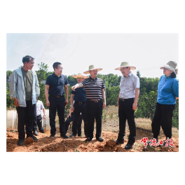 周振宇赴汉寿县调研巩固拓展脱贫攻坚成果同乡村振兴有效衔接工作