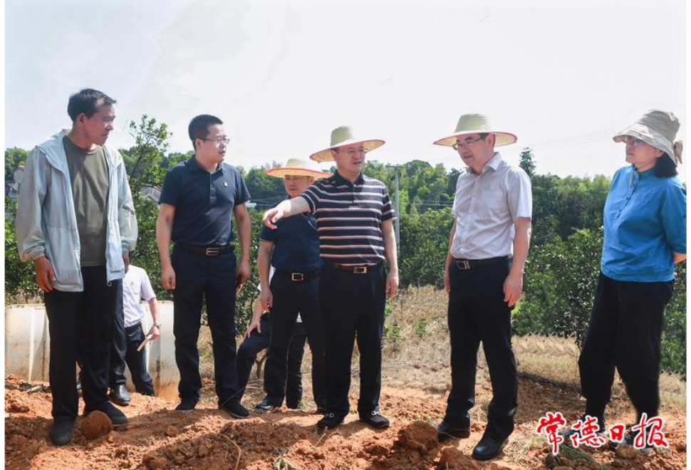 周振宇赴汉寿县调研巩固拓展脱贫攻坚成果同乡村振兴有效衔接工作