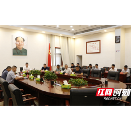 王先波调度安乡县农村集体资产资源清理“百日攻坚”工作
