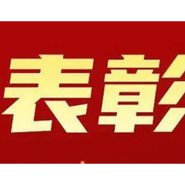 常德2名同志获中国侨联表彰