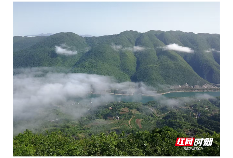 常德是个好地方丨山水之间 常德石门打造云雾茶香文旅新画卷