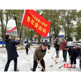 澧县涔南镇：党员干部齐上阵 扫雪除冰保安全