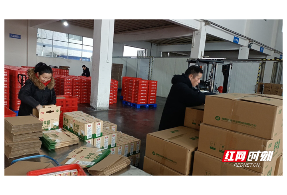 迎战冰雪 以动抗冻丨金健米业众志成城稳产保供应