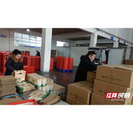 迎战冰雪 以动抗冻丨金健米业众志成城稳产保供应