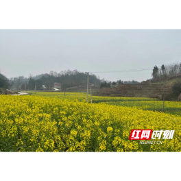 桃源佘家坪镇：万象“耕”新干劲足 田畴沃野农事忙