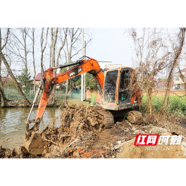 常德西湖：积极开展农村人居环境整治行动 扮靓乡村容颜