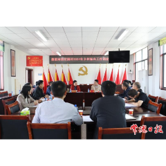 常德市领导到鼎城区蔡家岗镇调度乡村振兴工作并走进人大代表联络站履职