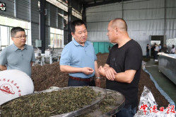 常德市领导率队到桃源县调研茶叶产业发展情况
