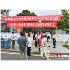 临澧县开展“走近托育·呵护成长” 主题宣传活动