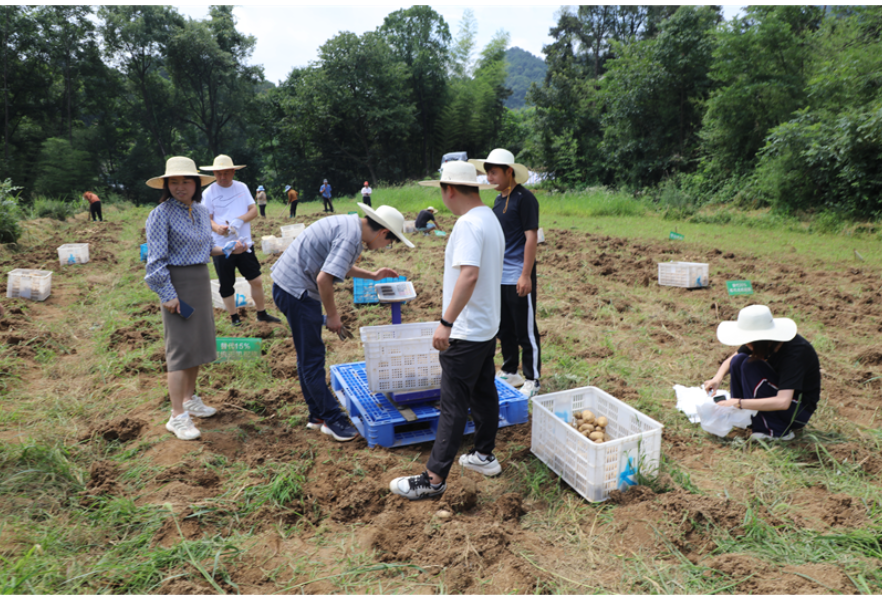 变污为肥、绿色种养，石门携手中科院“闯关”生态种粮“新赛道”