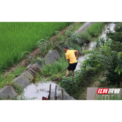 汉寿：“地毯式”巡查堤坝 守护河道水库安全