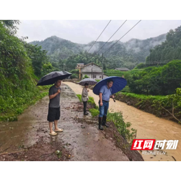 桃源县茶庵铺镇：“汛”速出击 向险“逆行”  当好群众的“撑伞人”