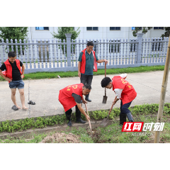 常德西湖：防汛一线 “驻村力量”显担当