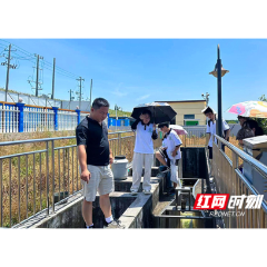 常德西湖：驻村工作队联手湖大师生开展乡村用水实践调研活动