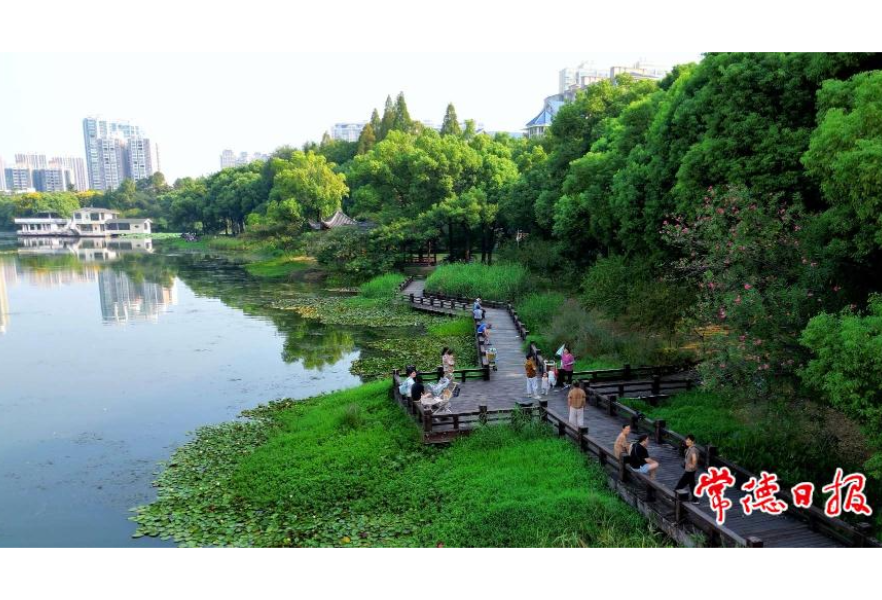 下雨！降温！常德终于要凉快了？