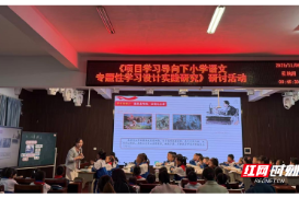 桃源县文星小学：深耕项目学习  赋能语文课堂