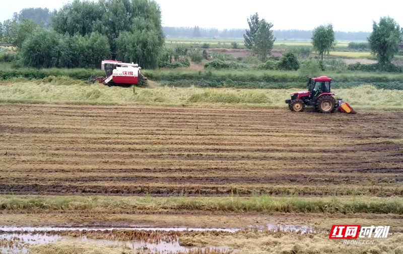 微信图片_20251202154554_1094_77.jpg 微信图片_20251202154554_1094_77.jpg