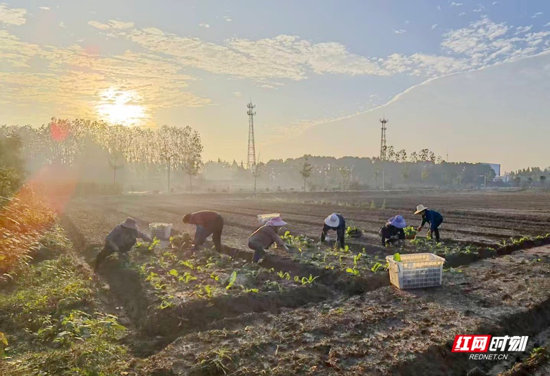 微信图片_20251202154556_1097_77.jpg 微信图片_20251202154556_1097_77.jpg