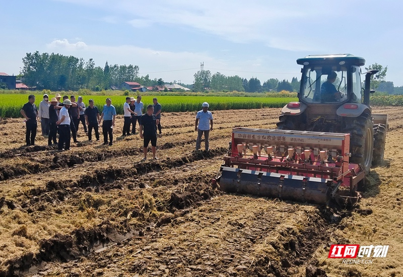 微信图片_20251202154553_1093_77.jpg 微信图片_20251202154553_1093_77.jpg