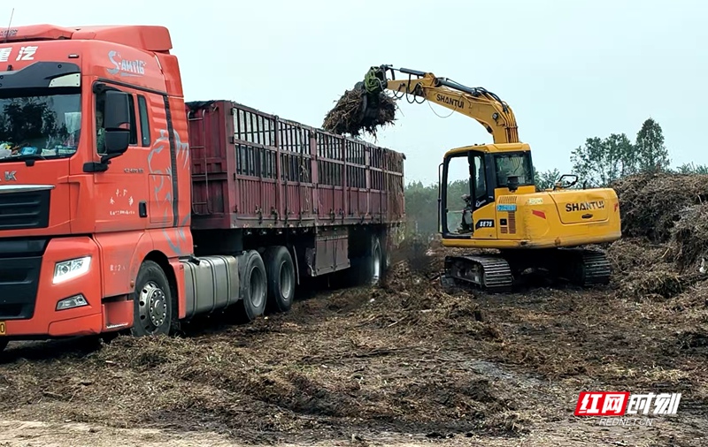 微信图片_20251202154551_1091_77.jpg 微信图片_20251202154551_1091_77.jpg