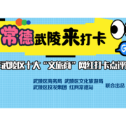 “顶流”由你定！2025常德市武陵区文旅商网红打卡点投票重磅来袭