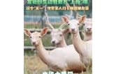 视频  | 常德野生动物世界“上新”啦，这个“五一”快带家人来打卡